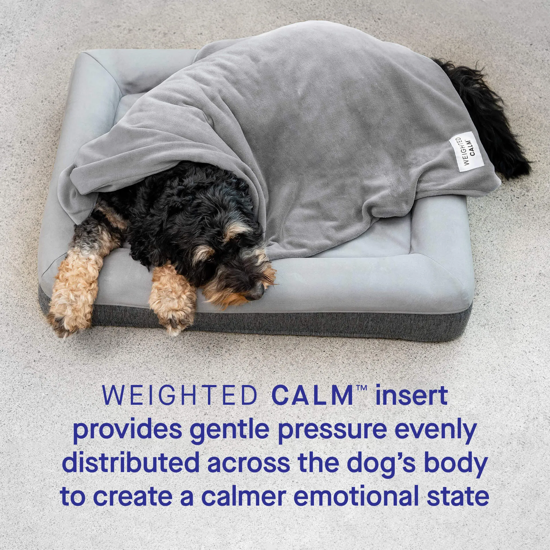 Weighted Calming Blanket