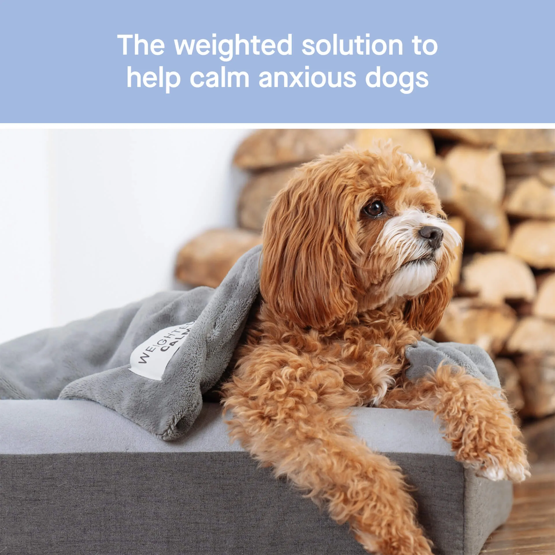 Weighted Calming Blanket